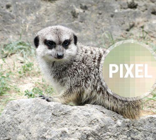 Beitragsbild Websitebilder optimieren